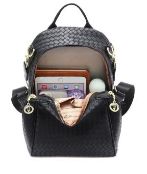 ZCJ2096 AS PICT-big-1